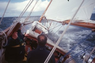 noch ein Anita-Bild
