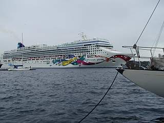 Die Norwegian Jewel